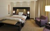 Туры в отель Wellings Parkhotel