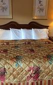 Туры в отель Scottish Inn Sturbridge