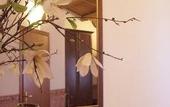 Туры в отель B&B Vinci