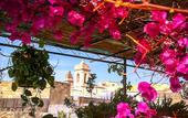 Туры в отель B&B Vinci