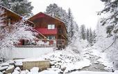 Туры в отель Ponderosa Lodge