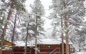 Туры в отель Ponderosa Lodge
