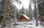 Туры в отель Ponderosa Lodge
