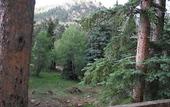 Туры в отель Ponderosa Lodge