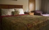 Туры в отель Ponderosa Lodge