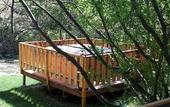 Туры в отель Ponderosa Lodge