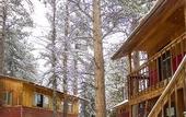 Туры в отель Ponderosa Lodge