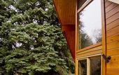 Туры в отель Ponderosa Lodge