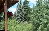 Туры в отель Ponderosa Lodge