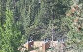 Туры в отель Ponderosa Lodge