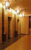 Туры в отель March Flower International Hotel