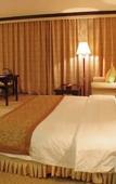 Туры в отель March Flower International Hotel