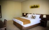Туры в отель Hotel Fazenda Piramides