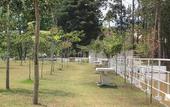 Туры в отель Hotel Fazenda Piramides