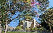 Туры в отель Hotel Fazenda Piramides