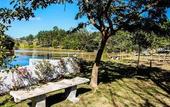 Туры в отель Hotel Fazenda Piramides