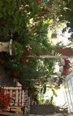 Туры в отель Logis Hotel Villa Victorine