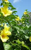 Туры в отель Logis Hotel Villa Victorine