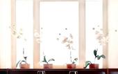 Туры в отель Hotel Ritzi