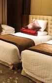 Туры в отель Maison New Century Hotel Lubei Tangshan