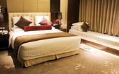 Туры в отель Maison New Century Hotel Lubei Tangshan