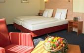 Туры в отель Hotel Adler