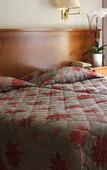 Туры в отель Hotel Diana