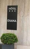Туры в отель Hotel Diana