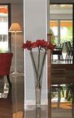 Туры в отель Hotel Diana