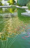 Туры в отель Hotel Diana