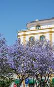 Туры в отель Loule Jardim Hotel