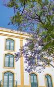 Туры в отель Loule Jardim Hotel