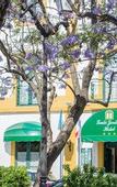 Туры в отель Loule Jardim Hotel