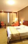 Туры в отель Vienna Hotel (Hangzhou Xiaoshan Airport)