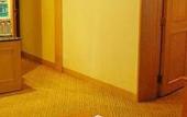 Туры в отель Delight Hotel
