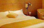 Туры в отель Delight Hotel
