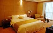 Туры в отель Delight Hotel