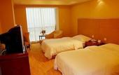 Туры в отель Delight Hotel