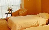 Туры в отель Delight Hotel