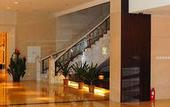 Туры в отель Delight Hotel