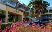 Туры в отель Elysion Hotel