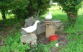 Туры в отель Quinta do Scoto