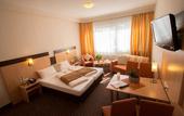 Туры в отель Hotel Am Freischuetz