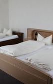 Туры в отель Hotel Am Freischuetz