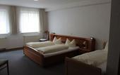 Туры в отель Hotel Am Freischuetz