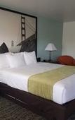 Туры в отель Quality Inn Fairfield Napa Valley Area