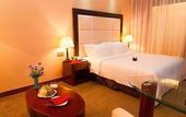Туры в отель Baoyue Hotel