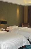 Туры в отель jinjiang metropolo hotel shaoxing keqiao