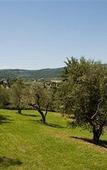 Туры в отель Hotel Villa il Patriarca