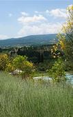 Туры в отель Hotel Villa il Patriarca